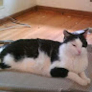 Meet your Posher, Jacob